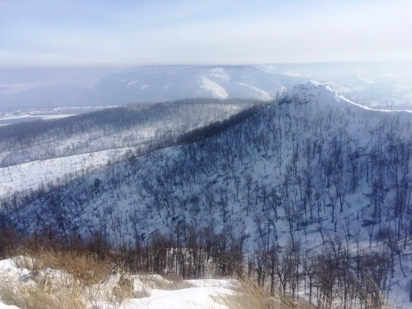 Самарская Лука: экскурсия по смотровым площадкам из Самары — цена