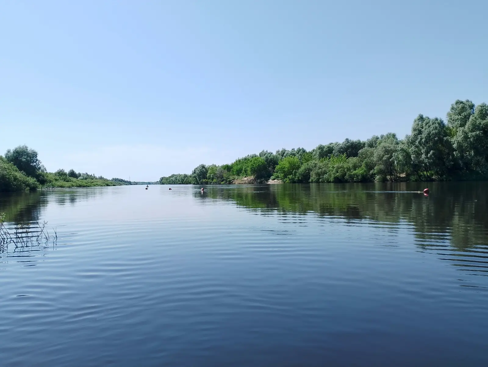 Сплав по Каменной протоке на сапах и байдарках из Самары — цена