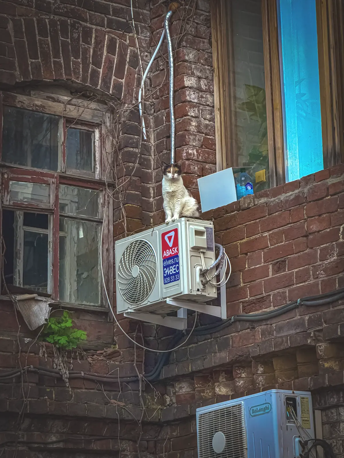 Дворики старой Самары (в группе)